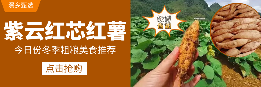 今天起,安顺一批5A、4A景区免门票!针对人群……