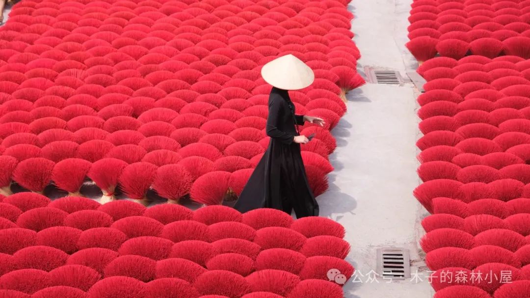 搭子旅行/一种回望自我的神奇感受