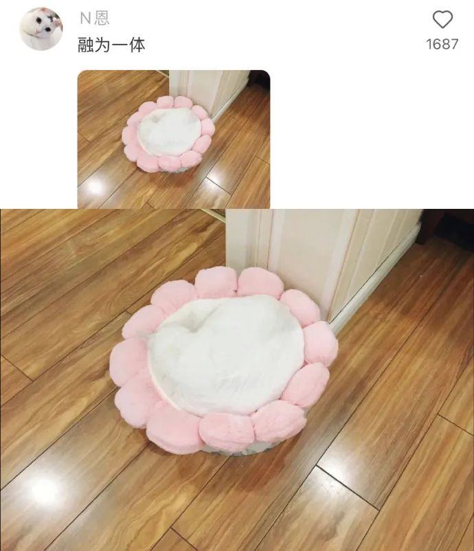 那什么骑鹅旅行记!好可爱!