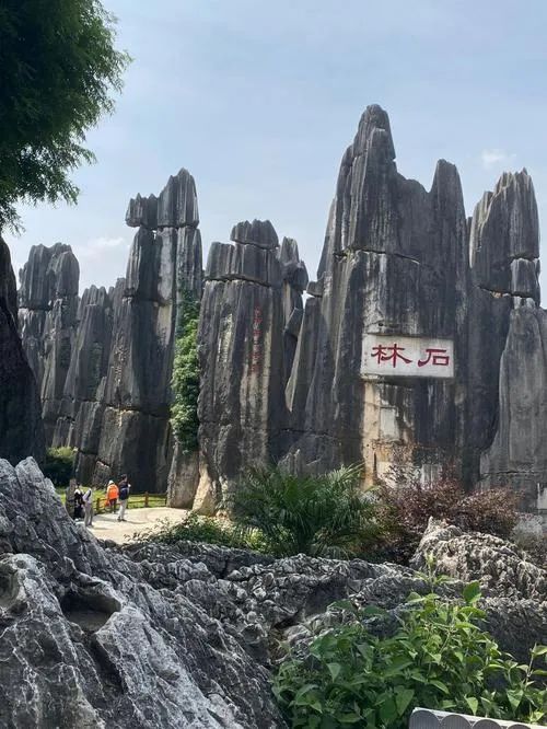 云南石林丨旅游攻略丨景点介绍