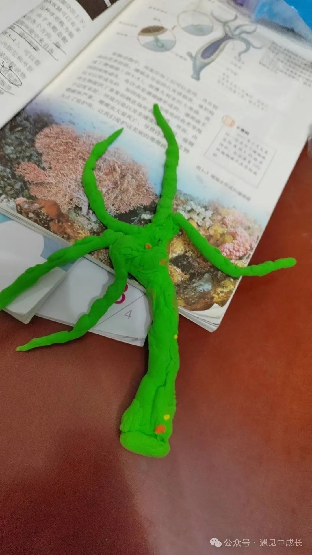 读书与旅行,一个都不能少