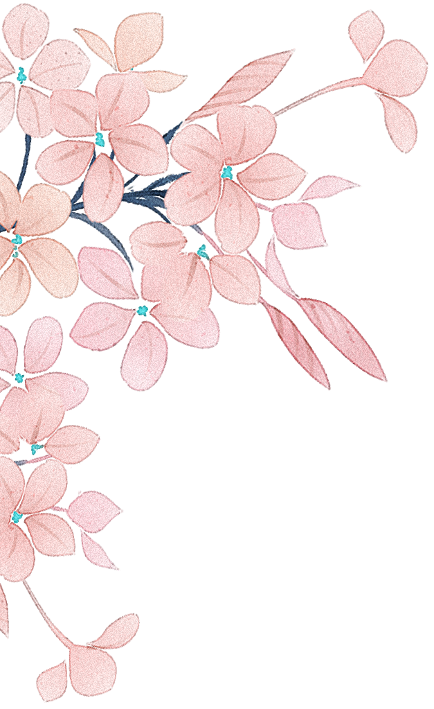 亚洲国际大酒店:花城看花丨错峰出游,探觅花城春日之美