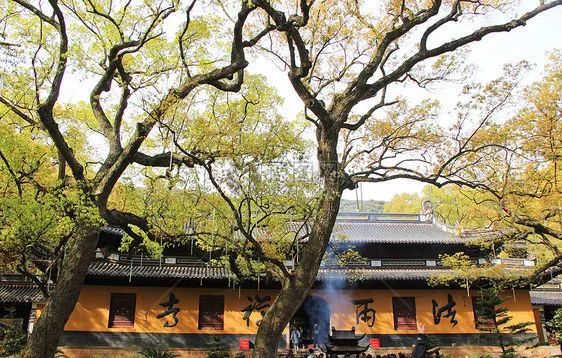 【3月8日】普陀山双飞三日游(漳浦出发)