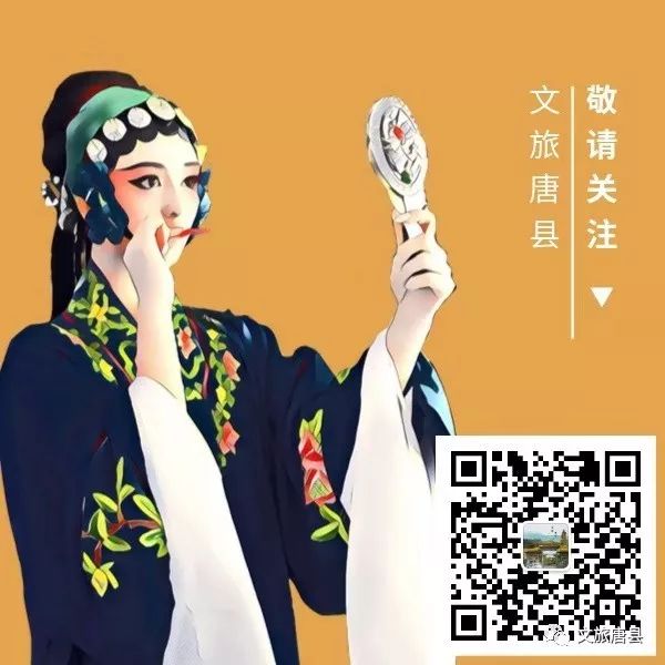 唐县文化和旅游局关于公开选择明伏石窟安防工程招标代理机构结果的公示