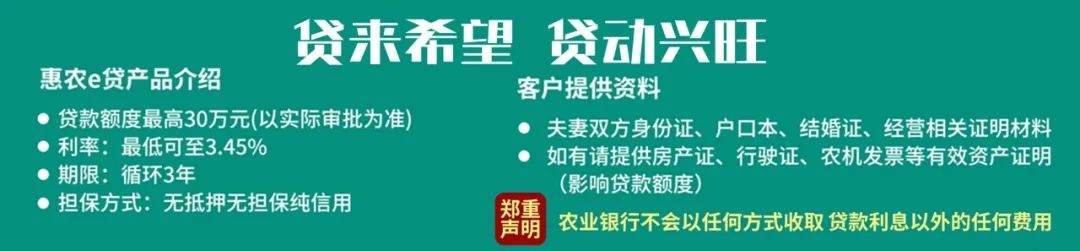 黄山新农人 | 邹涛:民宿为乡村注入新活力