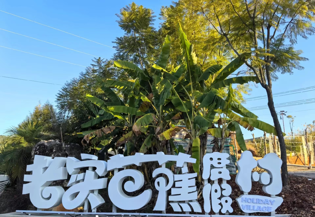 正月十五到通海赶花街丨这份游玩攻略请收藏!