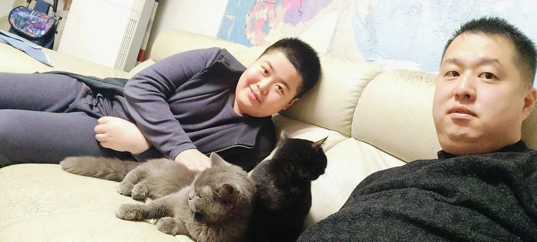 你的孩子爱猫的话,快考虑带猫自驾旅行吧