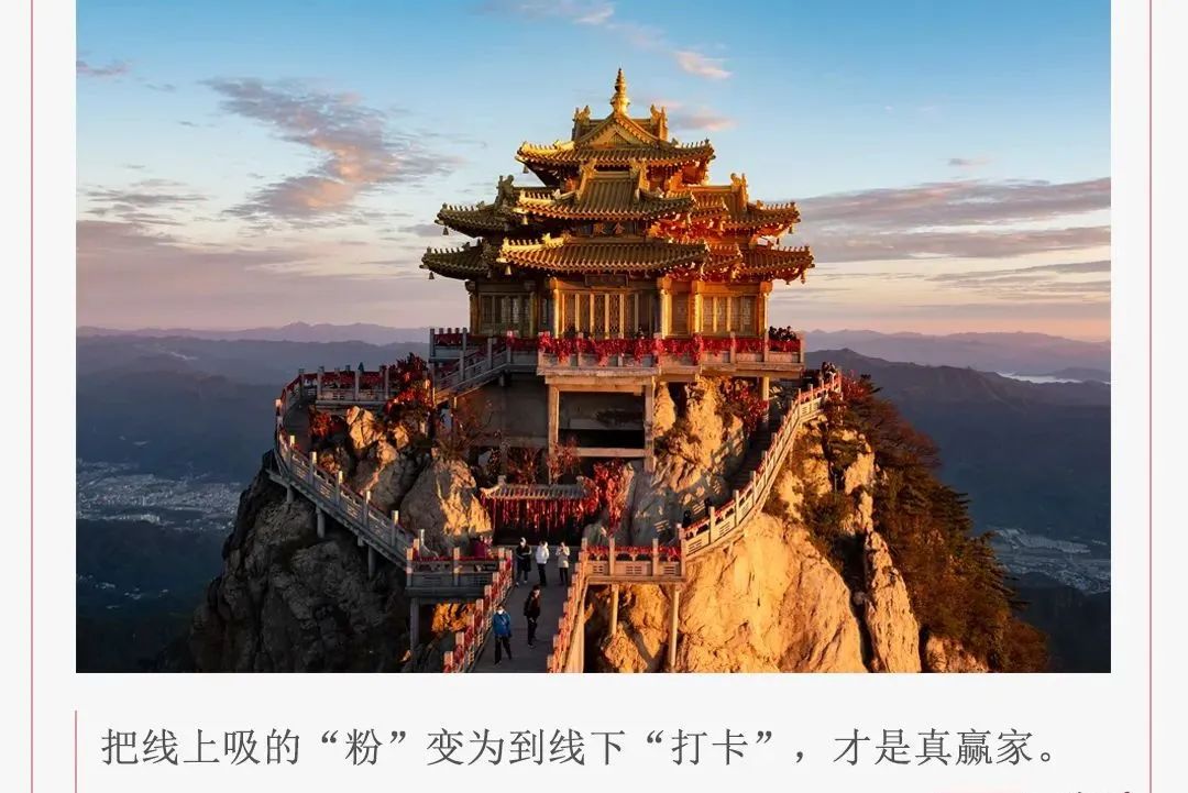 城市民宿创业-文旅局,你可别发疯了!