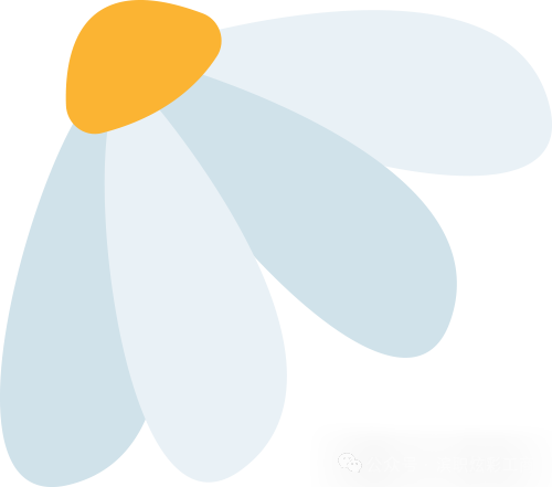 为家乡代言,为景点发声——工商管理学院开展“返家乡”社会实践活动