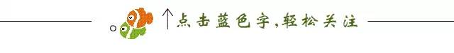 志愿心向石林,传递温暖之行——我在石林风景区做志愿者
