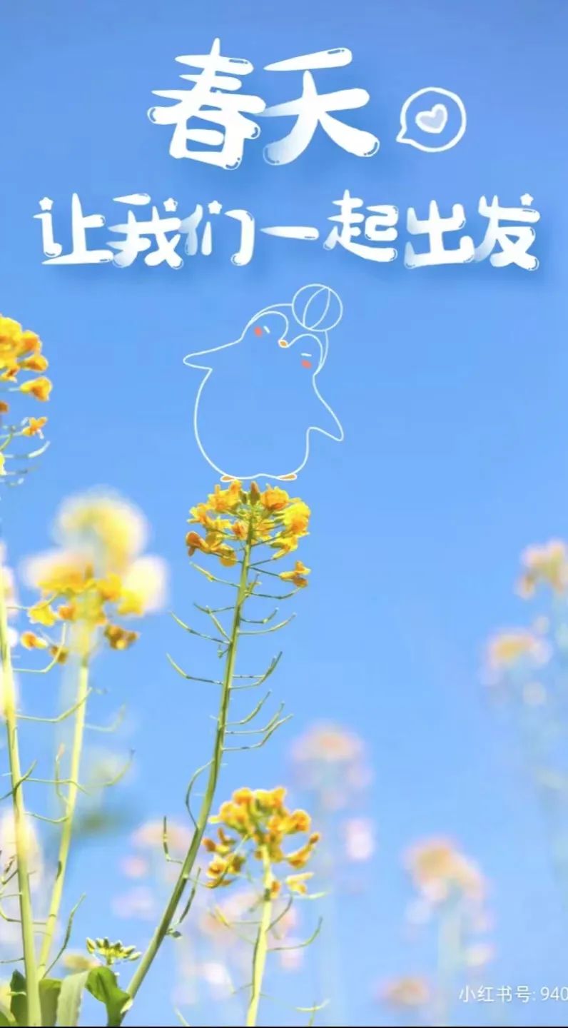 康辉春季旅游线路合集 | 一年之际在于春,用旅行犒劳自己!(二)