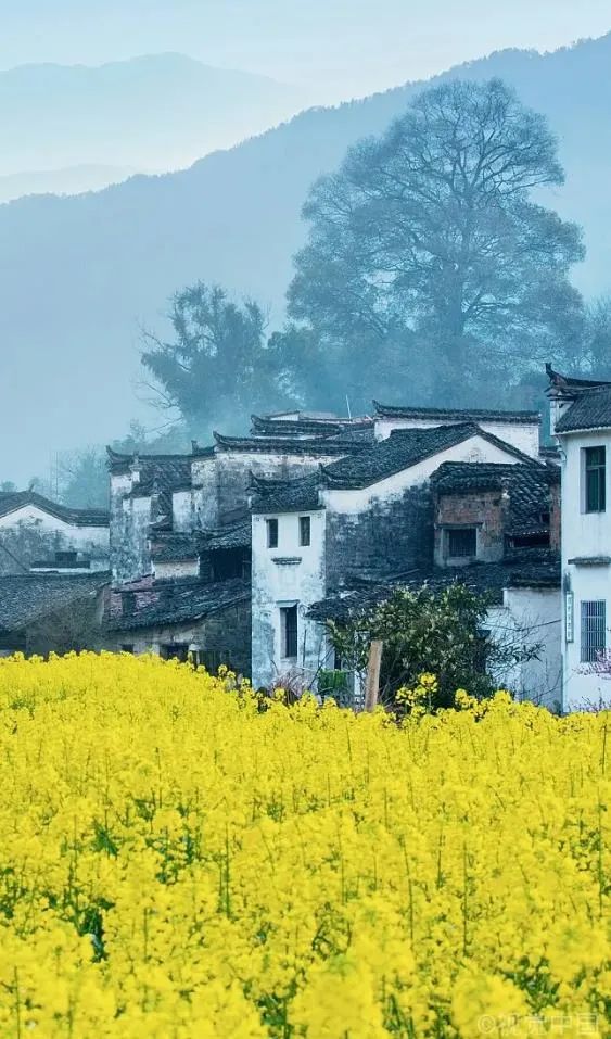 3月 21-26 日南昌昌北机场进出游望仙谷+三清山+庐山+婺源(篁岭)+三生三世十里桃花 +西递+ 宏村6天5晚包车纯玩游
