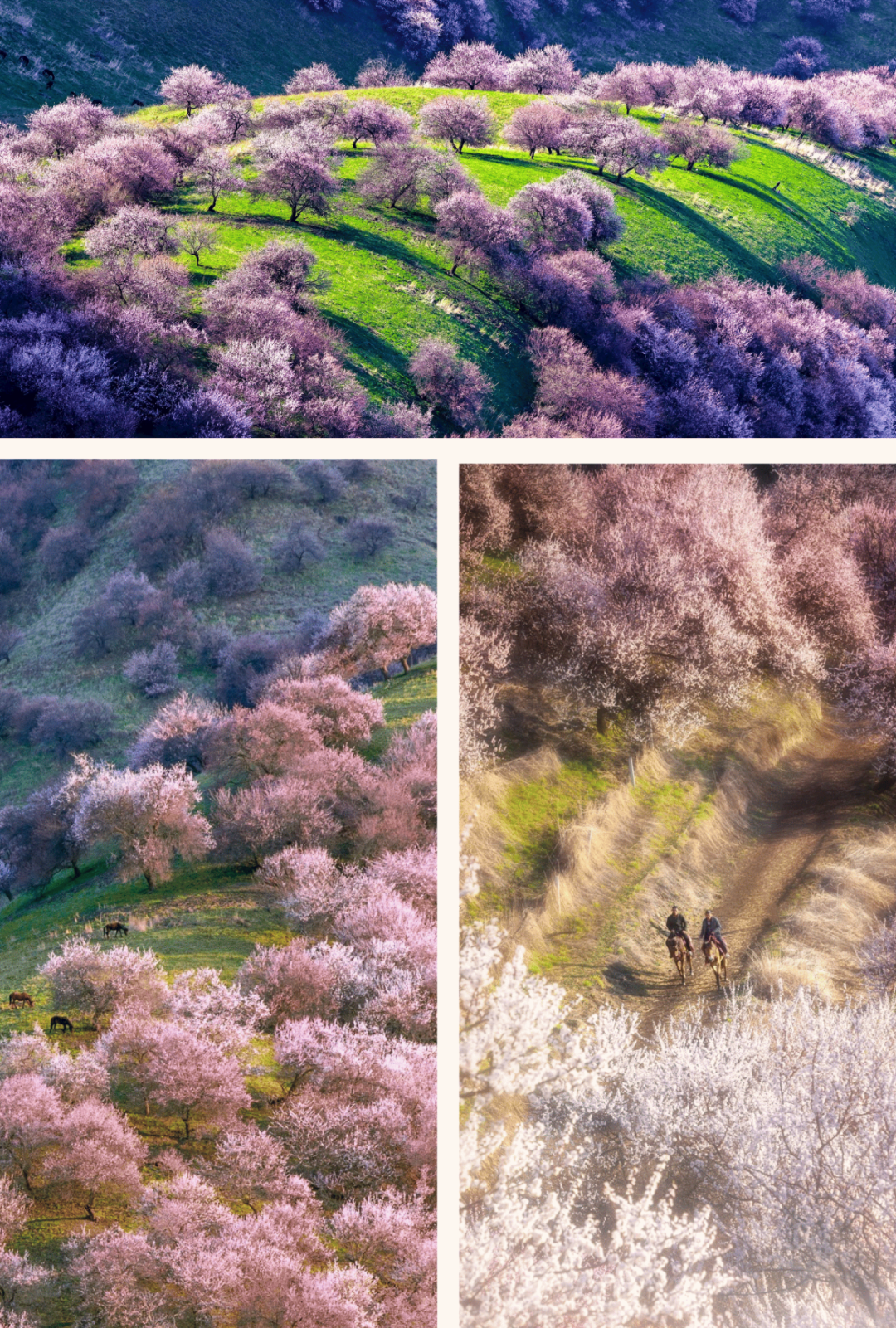 错峰出游!3-4月最佳旅行地榜单来了~