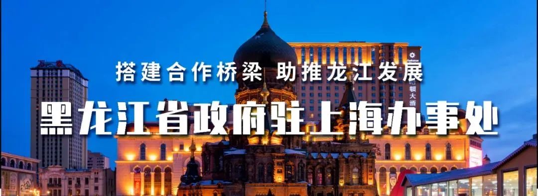 【龙江县融】黑龙江嘉荫:春节冰雪旅游市场热度持续 “冰雪经济”释放发展“热效应”