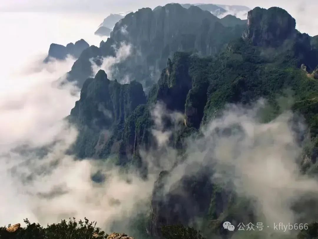 【景区线路】每周二 周四 周六发团 【太行云顶·王莽岭】1日游