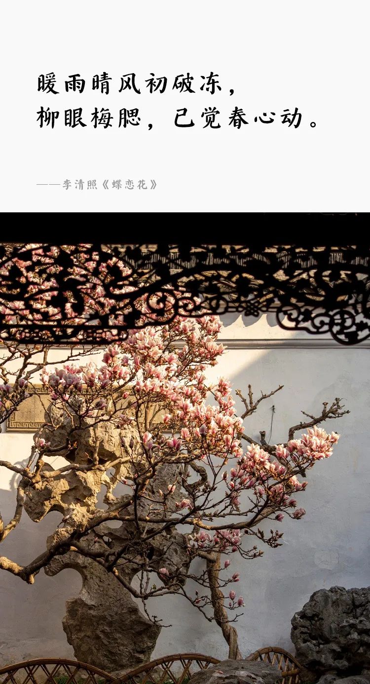 春色是园林最美的导游词