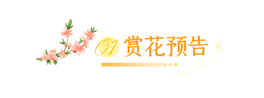 收藏!《苏州三月旅行清单》来啦!