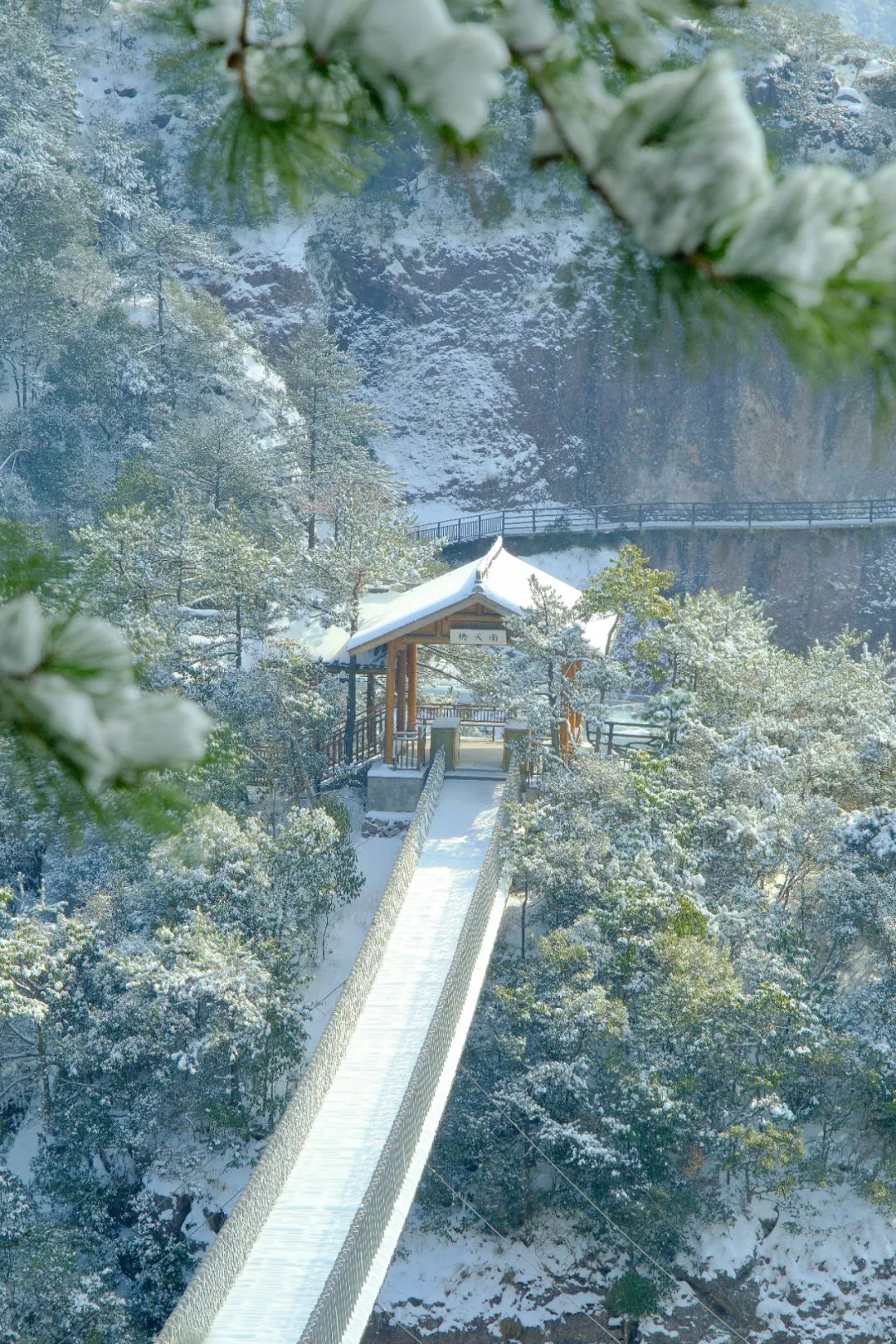 神仙居景区温馨提醒 | 冰冻天气,请注意防滑保暖!