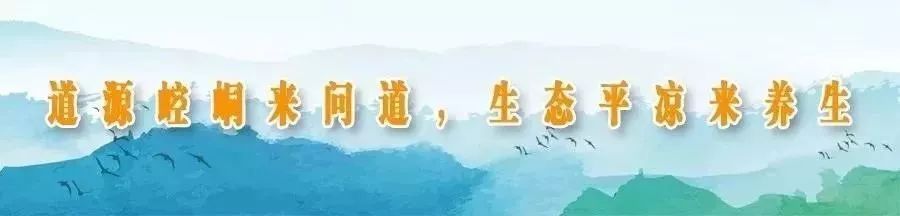 平凉文旅投公司获评首批“甘肃省中小学生研学实践教育基地”