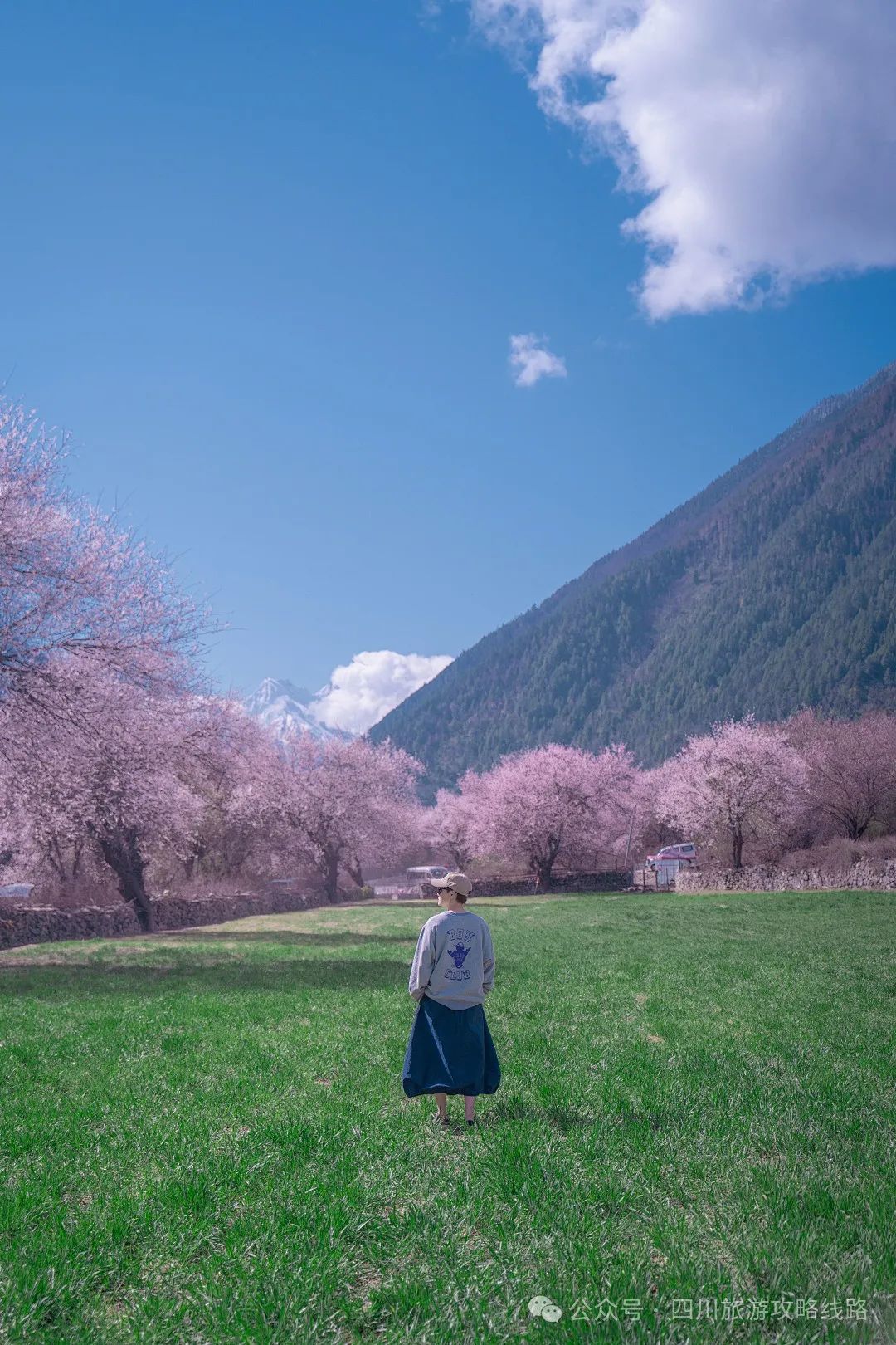 3月桃花节,林芝桃花旅游攻略,西藏林芝旅游攻略自由行路线,林芝桃花最佳观赏时间