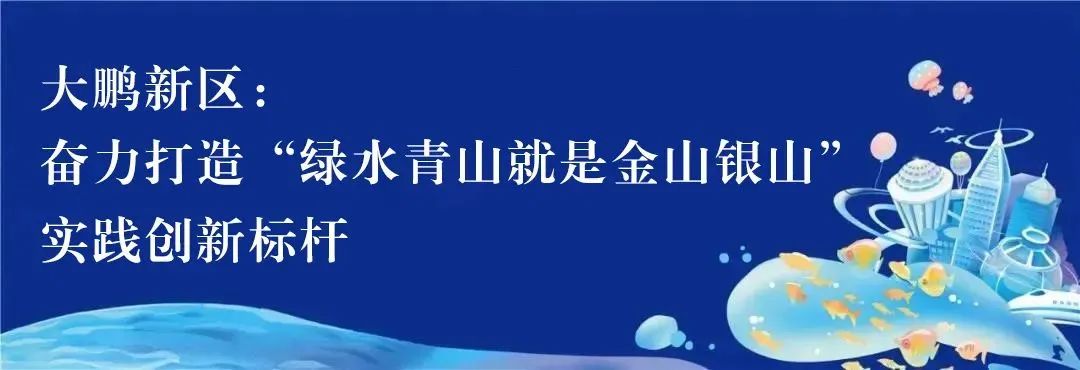 “大鹏民宿宠客季”即将上线