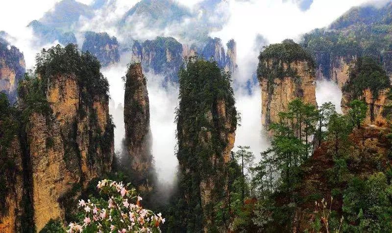 听见旅行︱济宁直飞长沙,湖南长沙、张家界旅游产品【3月份】