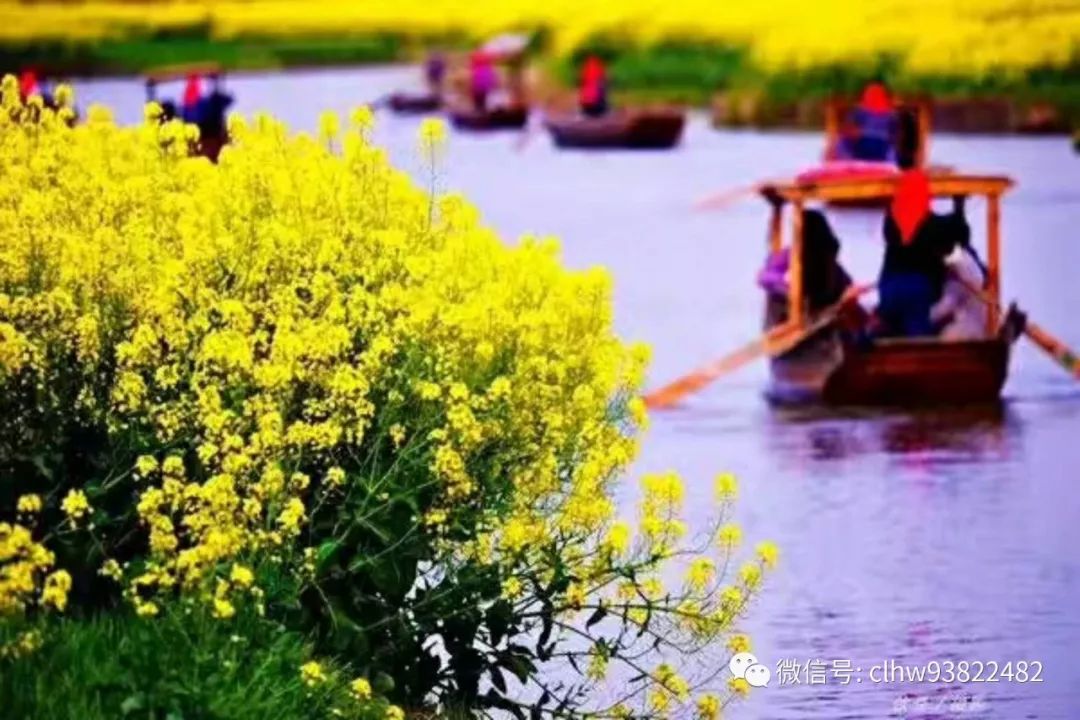 3月29-4月2号烟花三月下扬州五日游