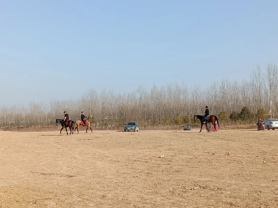 周末渭河沿河游玩,今年第一次踏青,你属于哪种拖延者?