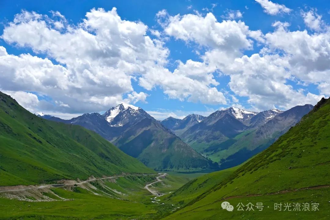 3月旅游必选!这3个城市的花海盛宴,让你一次赏尽春日盛景!