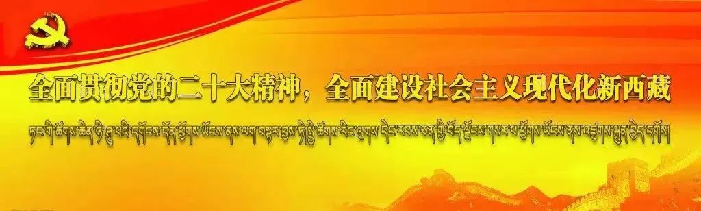 建议全国普及!林芝这些小众景点一不小心被你找到啦
