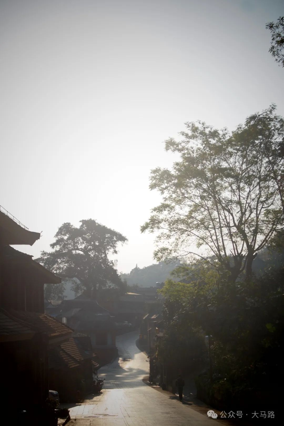 游记 | 再见景迈再见版纳