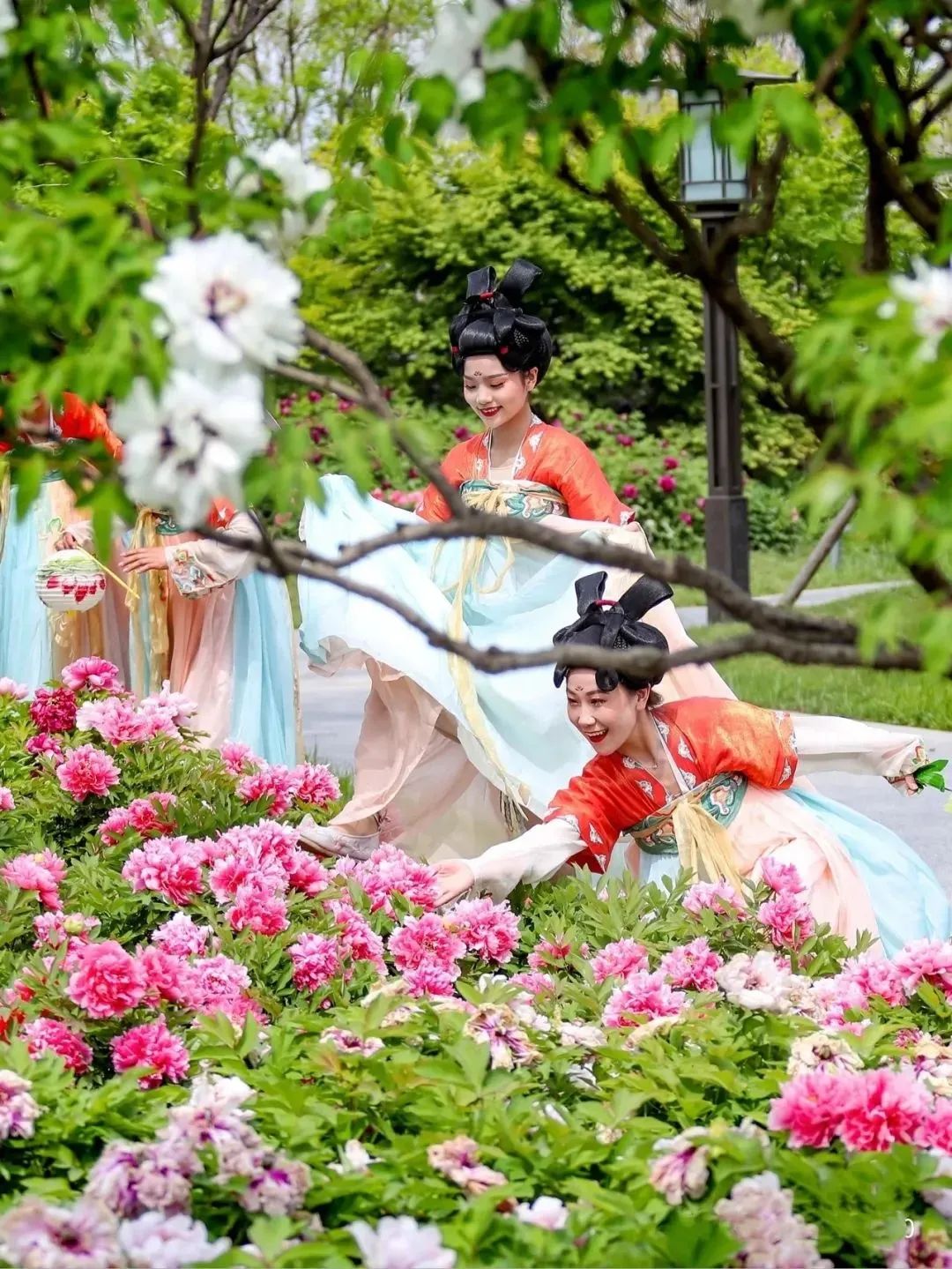 4月9日—4月15日对话千年古都,寻芳国色天香,洛阳牡丹-开封铁塔-清明上河园-白马寺-龙门石窟-老君山-郭亮村休闲摄影七日游