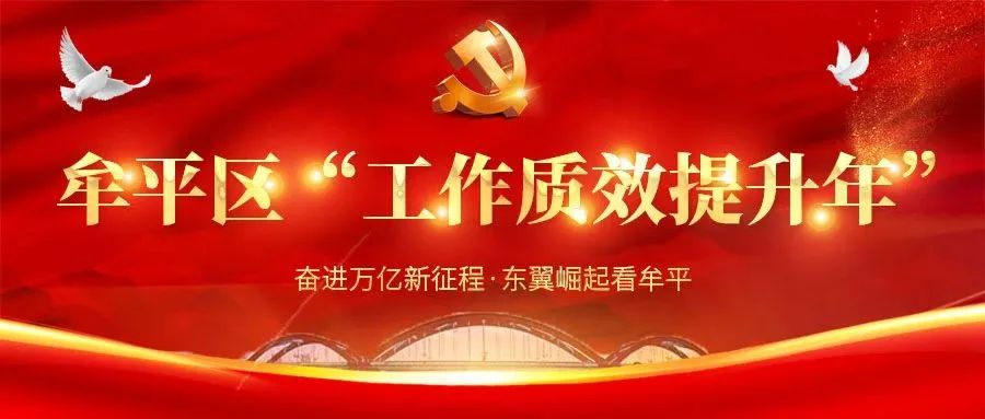 【工作质效提升·春风起航】养马岛旅游度假区
