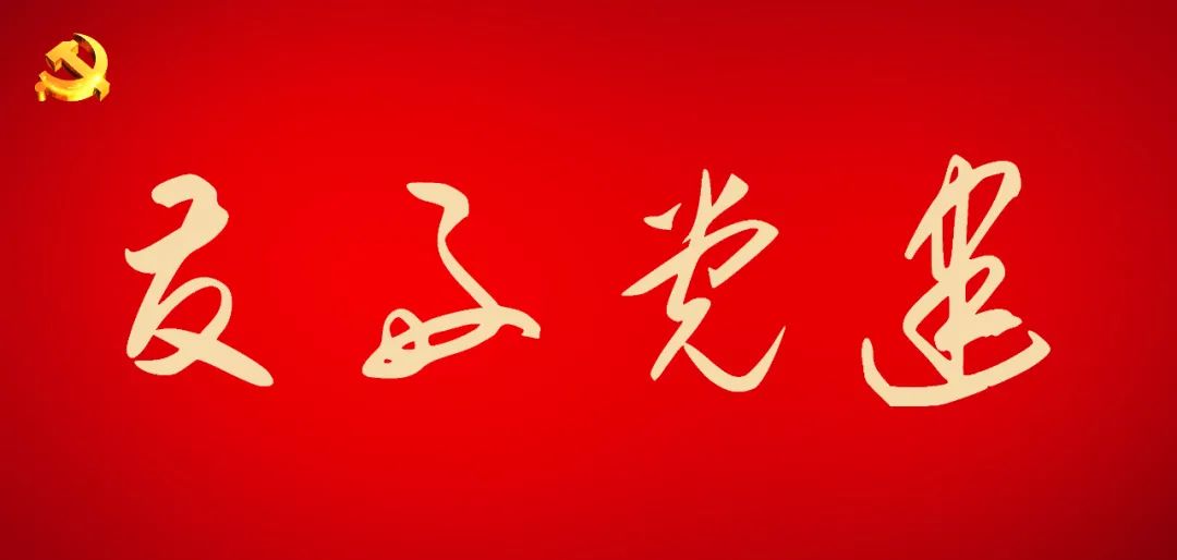 友好区文体广电和旅游局党支部开展“雷锋在身边·志愿满林都”系列志愿活动