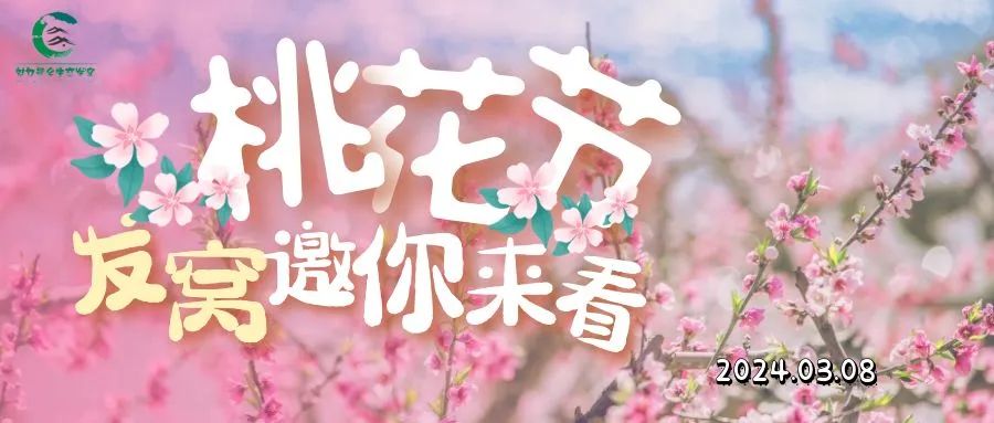 发窝乡2024年桃花节终极游玩攻略看这里↓↓↓