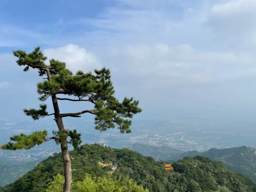 这些景区免票 半价
