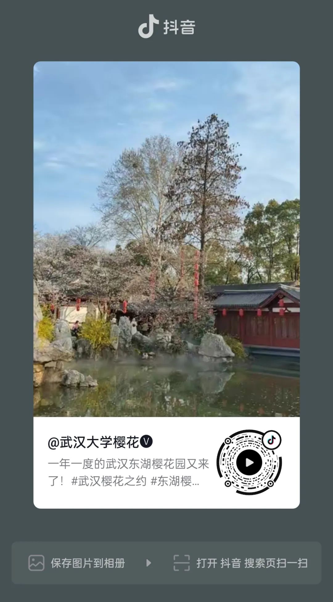 东湖樱花园游玩攻略2024版1.0