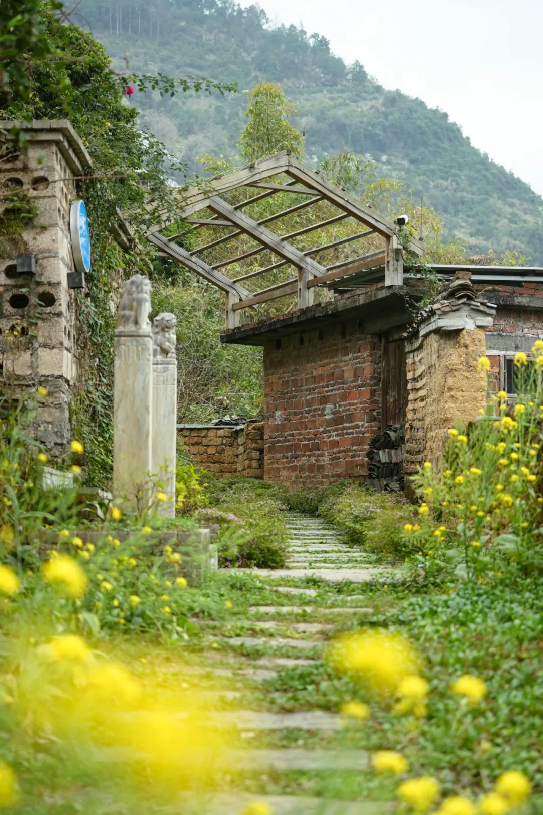 来阳朔民宿感受樊登读书 | 在山水秘境围读,遇见“小王子”