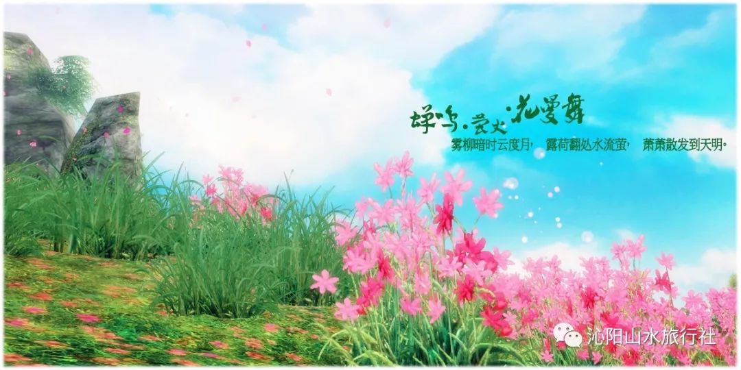 沁阳山水旅行社春季旅游线路
