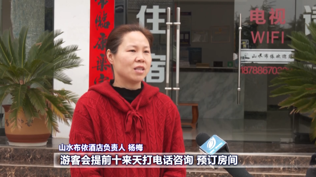 奋进的春天|赏花+民宿 为“赏花经济”注入活力