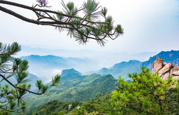 上个月从新乡市旅行回来,说些当地人不爱听的大实话!