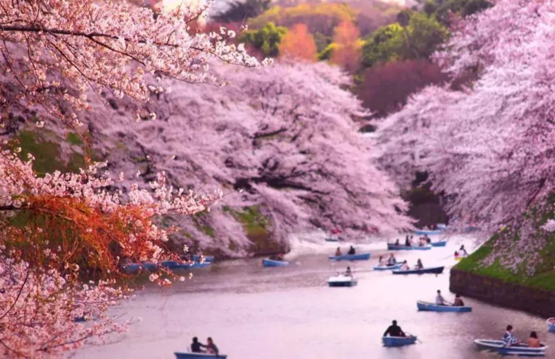 日本旅游热门目的地推荐攻略