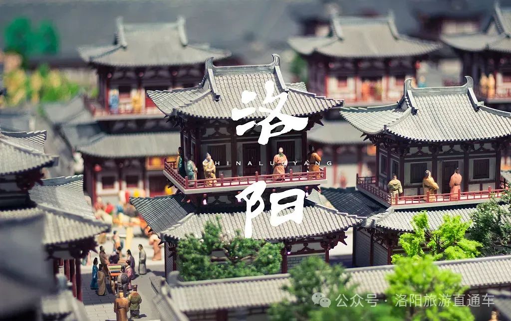 洛阳旅游|龙门石窟+白马寺+牡丹园纯玩一日游248元/人,包含景区首道门票、往返车费、导游、保险,4月天天发团,多个集合点可选