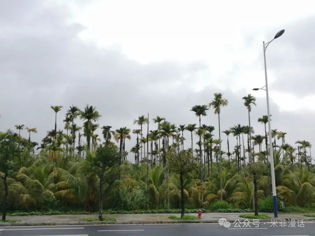 琼游记Day14(万宁南桥~万宁山根64km)