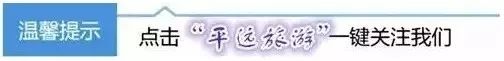 【绿美平远·旅游林】爱绿植绿护绿,共建绿美平远!这份行动倡议书请查收→