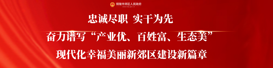 动态 | 以果为媒,以节会友!灰河乡第五届文化旅游(葡萄)节开幕!
