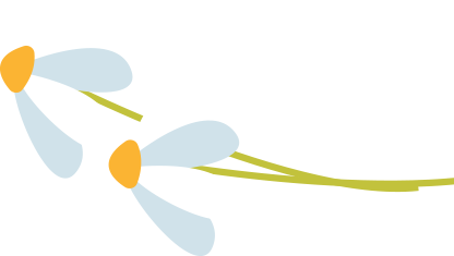 【花满人间游陇南】早春游陇南旅游攻略(一)