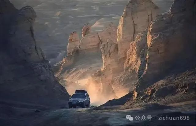 羌塘驴友开车撞死母狼,还烤狼肉吃,被狼群一路追击,真是善恶终有报