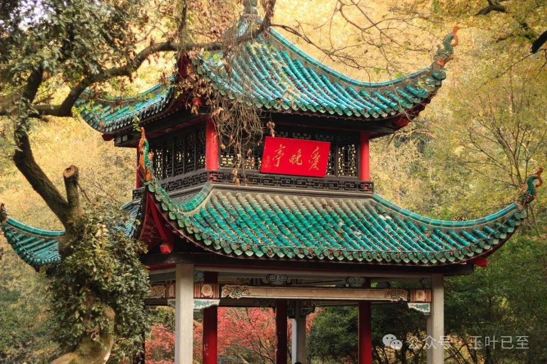 长沙旅游专线上新!一站式打卡岳麓山大王山两大旅游度假区