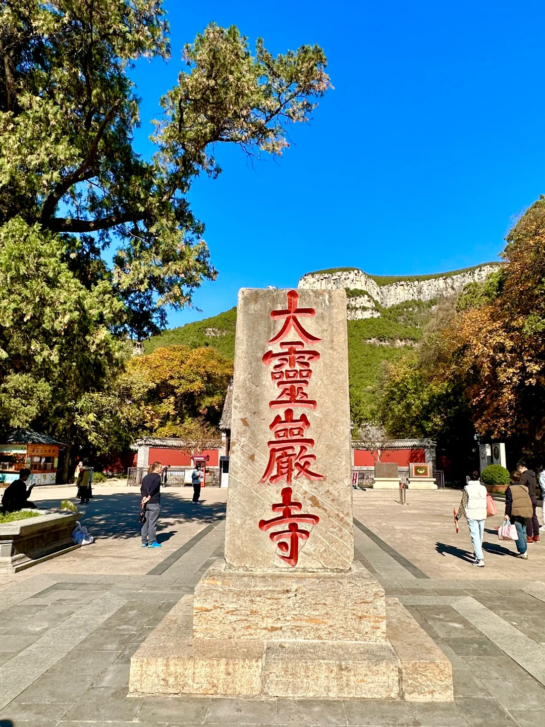 11.6灵岩寺的千年银杏🍂再不来就真的错过了